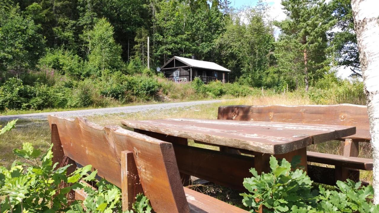 Solheim. Hytte Med 2 Soverom Birkenes Exteriör bild